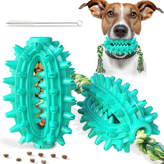 Durable Natural Rubber Dog Toys for Aggressive Chewers, Cactus Tough Dental Chew Toys for Training and Teeth Cleaning