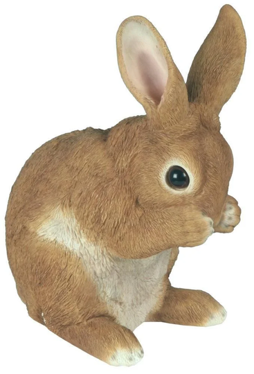 Uniontown Rabbit with Paws on the Muzzle