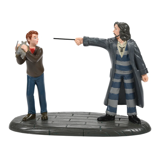The Wizarding World of Harry Potter Come out and Play Peter!