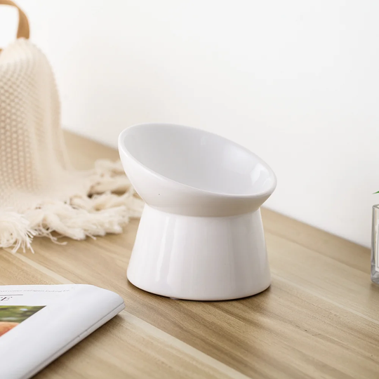 Cressida Tilted Elevated Ceramic Cat Food and Water Bowl