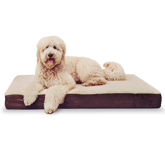 Xl Orthopedic Pillow in Beige/Dark Brown