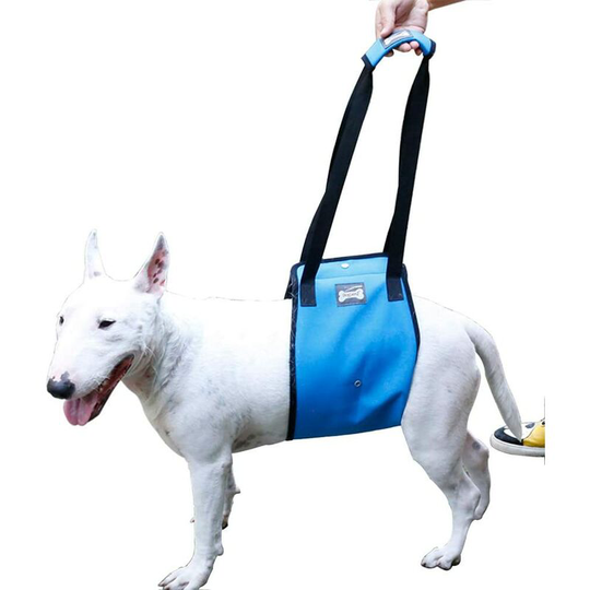 Dog Lifting Harness Sling Assist Canine Aid Pet Support for Medium to Large Dog Legs at Hind Leg (s, Blue)