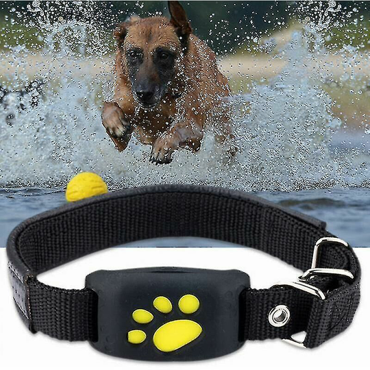 Monly - Dogs Cats gps Tracking Pet gps Tracker Anti Lost Collar Real Time Tracking Device Pet Collar Locator with Mic Free app