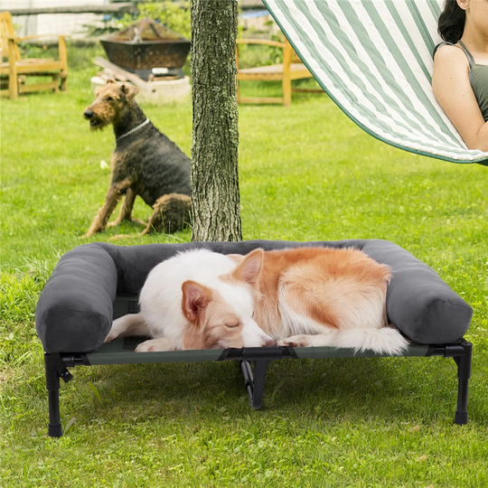 Natoma Elevated Dog Sofa in Grey