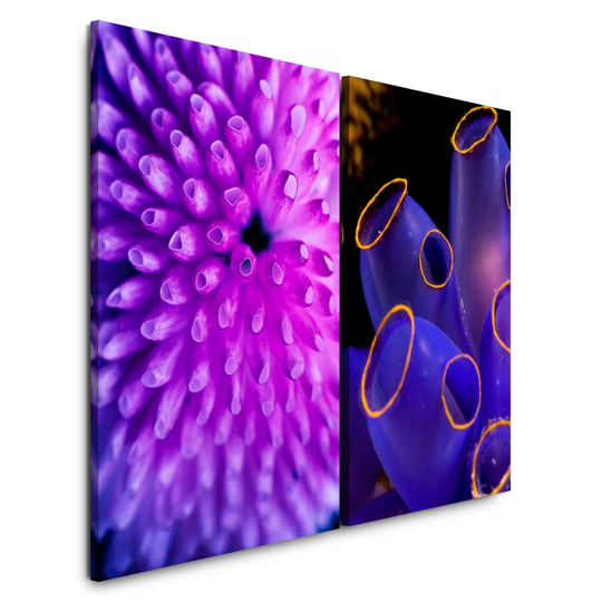 Coral Reef Underwater Violet Aquarium Blue - 2 Piece Wrapped Canvas Photograph Print Set