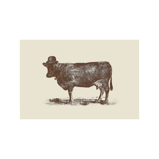 'Cow Cow Nut' Graphic Art on Wrapped Canvas
