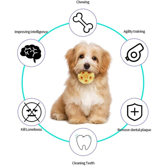 Squeaker toy for medium-sized dogs, lifelong use, interactive outdoor training toy, non-toxic, rubber, ideal for cleaning teeth, for chewing