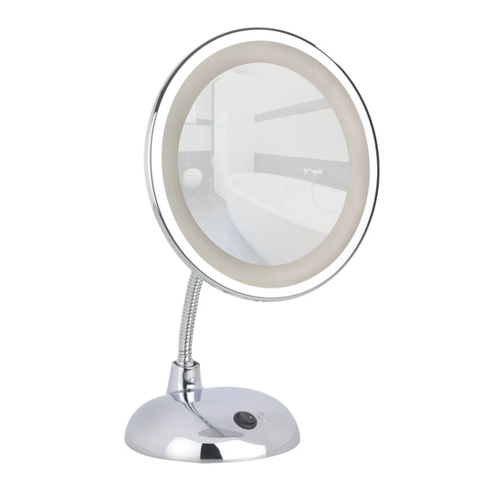 Style Makeup/Shaving Mirror