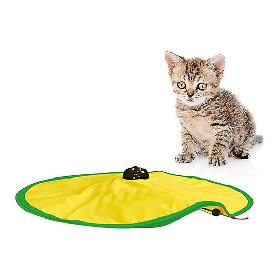 Cat Toy Interactive Electric Gym Toys Cat Play Plate Undercover