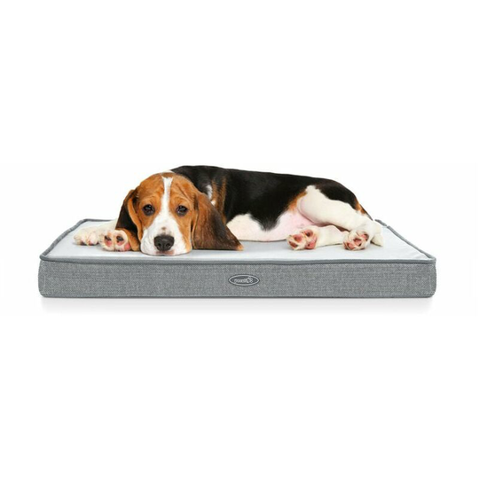 Bearsu - Dog Bed, Removable Dog Bed, Memory Foam Dog Mat, Waterproof Orthopedic Dog Mattress, Washable and Non-Slip Dog Bed, , (l 89x56x7cm)