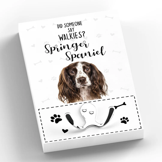 Springer Spaniel Wall Décor
