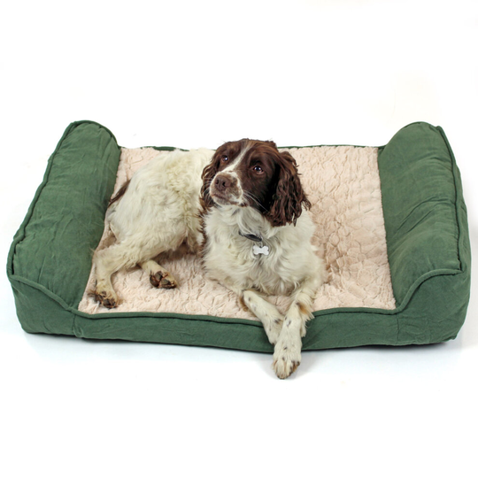 Large Dog bed with Orthopaedic Pillow Cushion in Green/cream Easipet