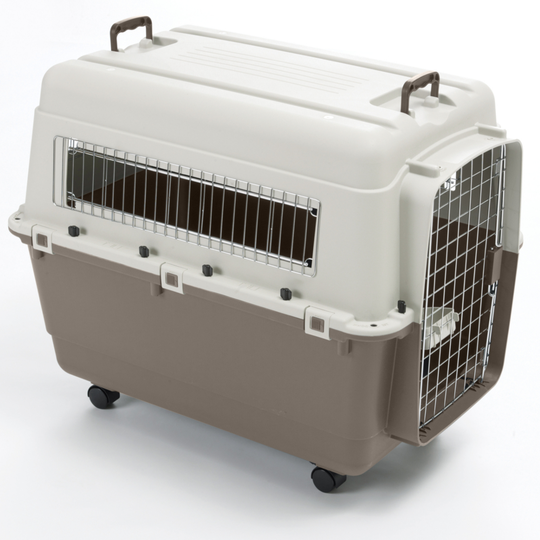 Feria Transport Crate with Wheels - Size 6 (L): 90 x 60 x 68 cm (L x W x H)