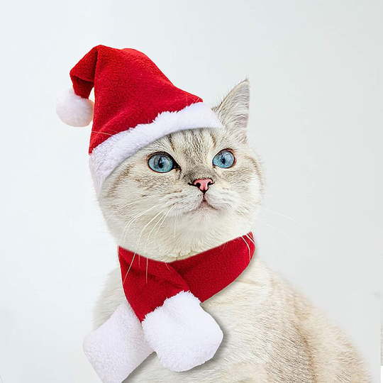 Pet Costume for Holidays St Patricks Birthday Cat Dog Halloween Christmas Hat Outfit- Xmas Set Pets, Cats, Dogs, Hats, Headwear, Scarves, Costumes,