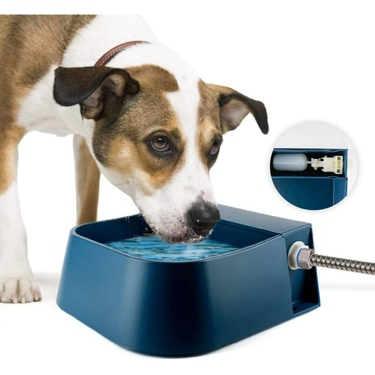 Fountains Dog Waterer Automatic Bowl Waterer with Float Valve for Dog Horse Cattle Sheep