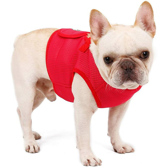 Small Dog Harness Lightweight Breathable Mesh Puppy Harness No Pull for Outdoor Walking(Red,Small)