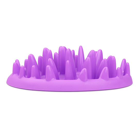 NORTHMATE ® Catch Cat Feeder - 1 Bowl