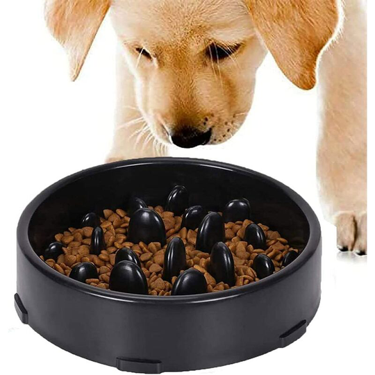 Einemgeld - slow feeding dog bowl, dog bowl, non-slip feeding bowl for slower food intake, anti-swallow feeding bowl for pets, interesting