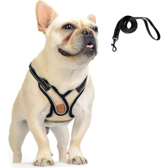 Dog Harness with Lead, Adjustable Dog Vest, Soft Mesh Cat Dogs Puppy Harness and Lead Set