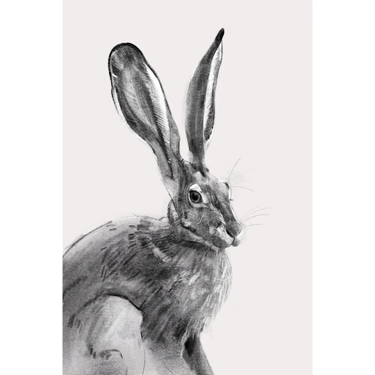 Wild Hare II by Emma Caroline - Wrapped Canvas Painting
