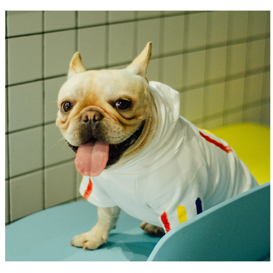 White small and large dogs clothes dog clothes pet clothes pet supplies autumn and winter new, suitable for small and large dogs and cats puppies,