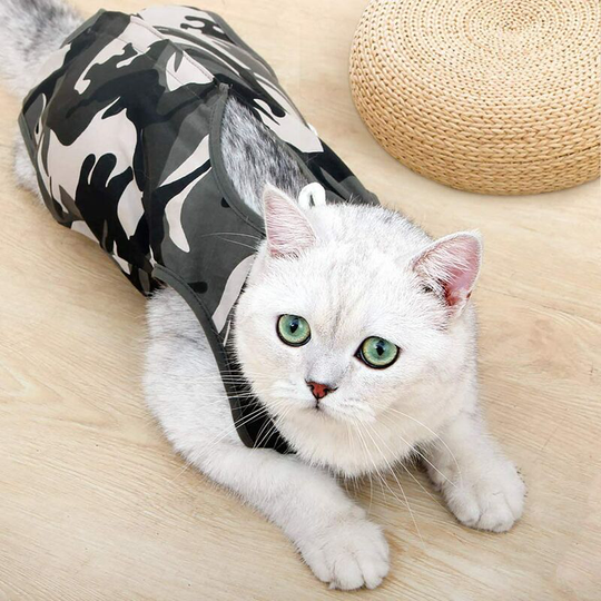 Cat Recovery Suit with Anti-Licking for Abdominal Wounds Soft Pet Clothes Inner Collar e Alternative for Pet After Surgery l