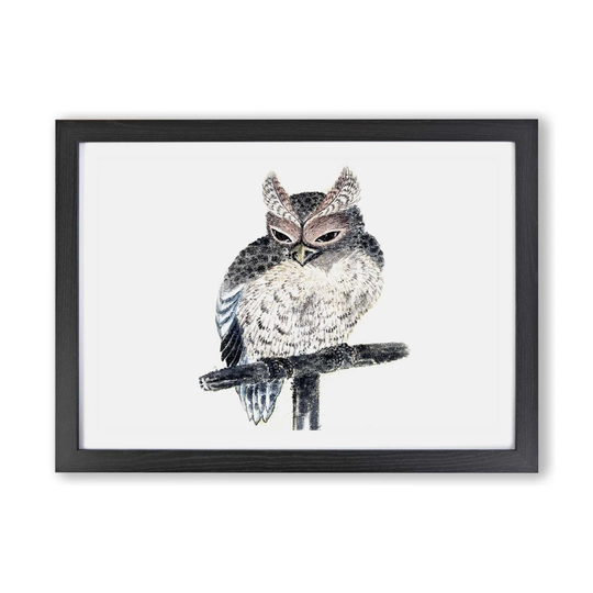'Perched Owl' by Katsushika Hokusai - Picture Frame Painting Print on Paper