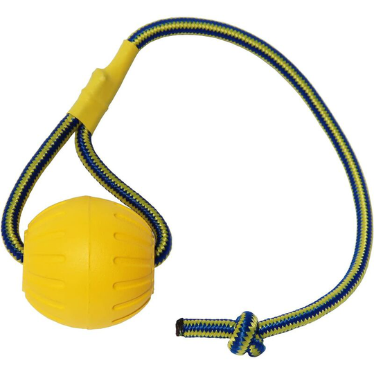 Dog Ball with Rope, Foam Dog Training Ball, Floating Dog Ball, Small Tug Toy for Large Dog (Big Ball)