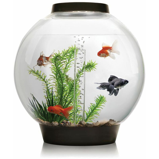 Biorb - Classic 30L Aquarium in Black with mcr led Lighting and Heater Pack