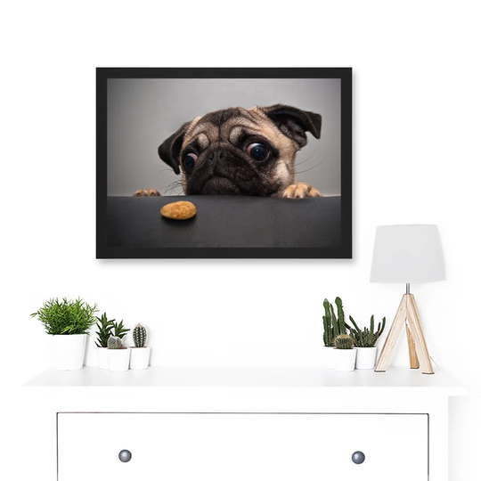 Animal Photo Pug Dog Treat Food Eyes Cute Artwork Framed A3 Wall Art Print