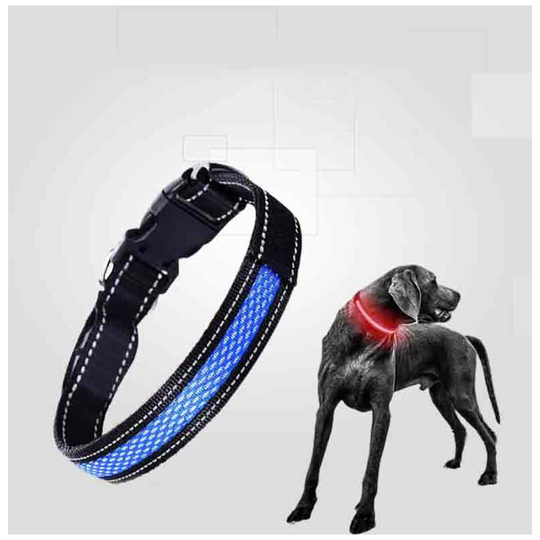 Led dog collar Rechargeable usb lighted collar red