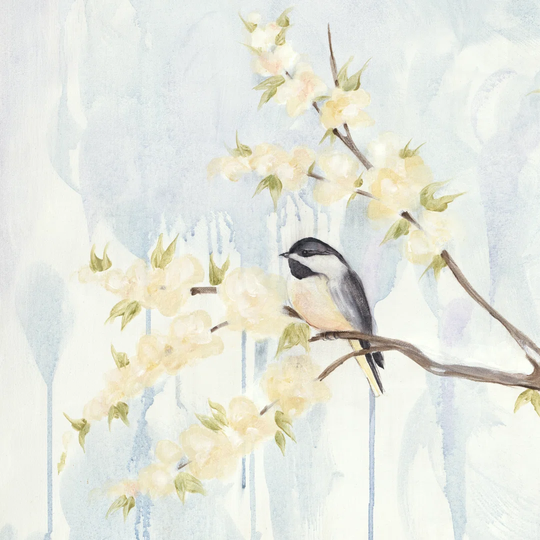 Spring Chickadees I by Jade Reynolds - Wrapped Canvas Art Prints