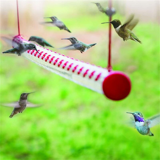 Bird Feeder With Bright Red Transparent Polycarbonate Tube, Easy To Clean, Spring Summer Decoration, Outdoor, Deck, Yard, Garden, Honey Feeder