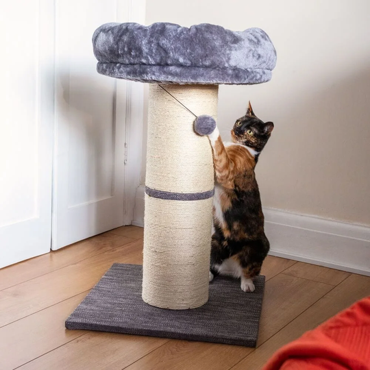 Jumbo Scratching Post
