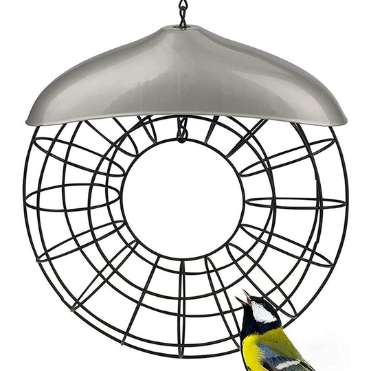 Outdoor Bird Feeder Hanging Outdoor Bird Feeders