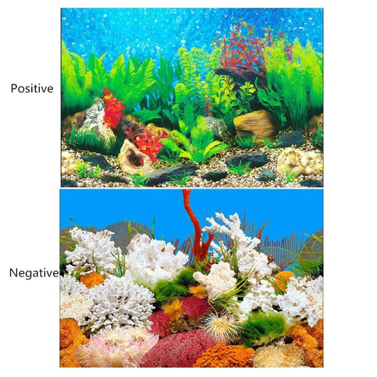(40x60cm) 3D Aquarium Landscape Poster Fish Tank Background Painting Sticker Double-sided Ocean Sea Plants Backdrop HD Aquarium Decoration