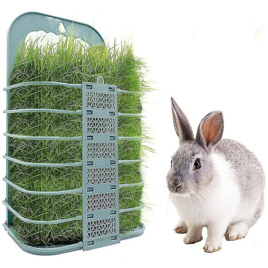 Foldable Chicken Feeder. Chicken And Vegetable Basket. Forage Vegetable Holder. Thsinde