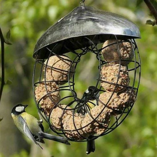 Evangeline Fat Ball Decorative Bird Feeder