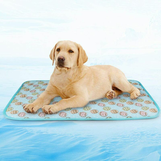 BR-Life Pet Cooling Sleeping Mat,Dog Cushion Cat Cushion Cold Bed Blanket Ice Silk Mat Heat Dissipation Cushion,50*70CM