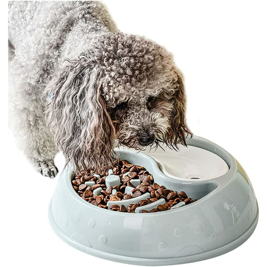 Slow Feeder Dog Bowl Fun for Dogs Slow Eating Dog Bowl Interactive Bloat Stop Dog Bowl Non-Slip Healthy Design Dog Bowl Medium
