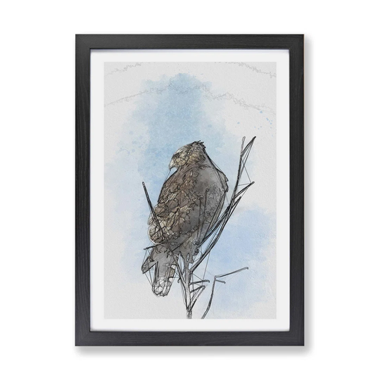 'Hawk Perched in a Tree' - Picture Frame Painting Print on Paper