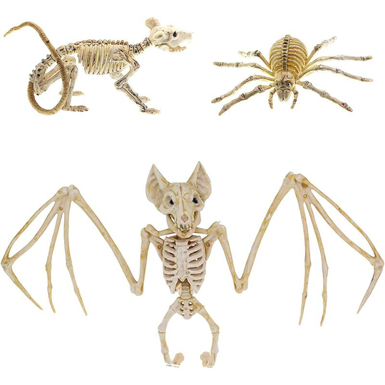 3pcs Halloween Bat Skeleton Halloween Spider Skeleton Halloween Mouse Skeleton Scary Animal Bones Realistic Bat Bones Halloween Decorations