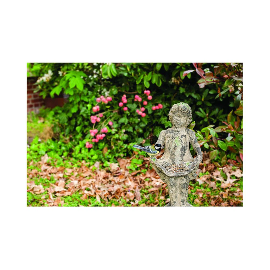 Bird Bath To Pose Girl Motif Medium