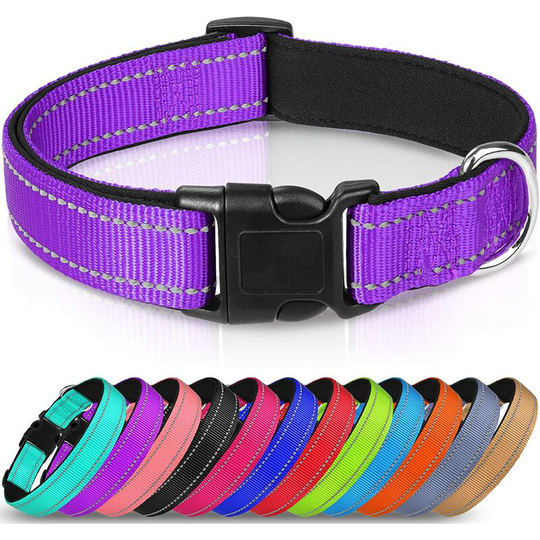 Nylon Dog Collar with Reflective Strip,Classic Padded Collar for Small Dogs,Purple,M