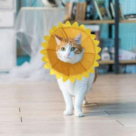 Collars for Dogs Cat Anti-bite Adjustable Protection Comfy Cone Recovery Collar for Dogs and Cat with Adorable Yellow Sunflower Pattern (m)
