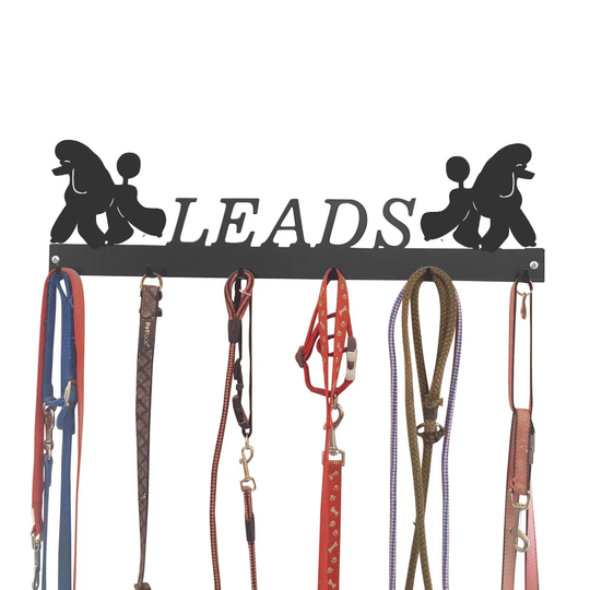 Allessio Wall Mounted Coat Rack