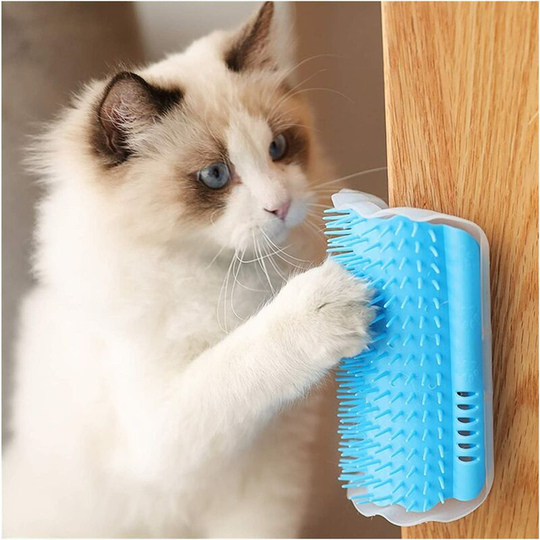 Cats Grooming Brushes Cat Grooming Comb, Cat Cat Blue Cleaning and Grooming Hygiene, Cat Toy and Multifunction Dog Dog