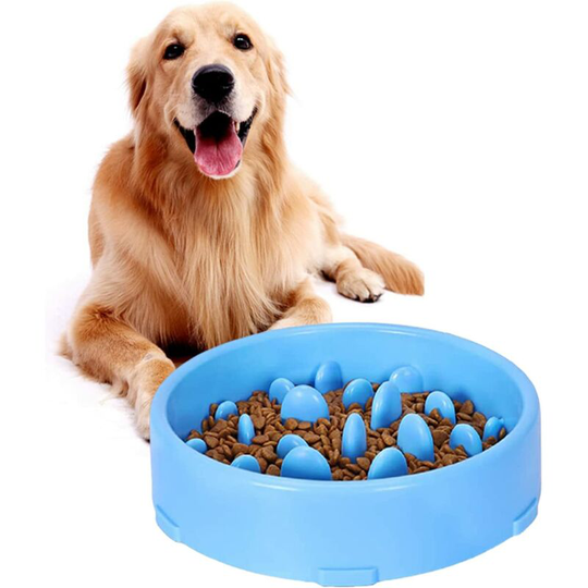 Anti Glutton Dog Bowl Slow Feeding Bowl for Dogs, Slow Feeding Non-Slip Design, Promotes Healthy Eating (Blue)