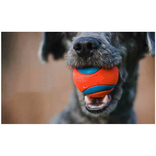 Anti-bite rubber elasticity dog toy ball, diameter s 5cm