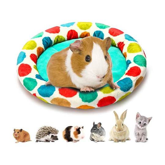 Guniea Pig Bed (Bed)